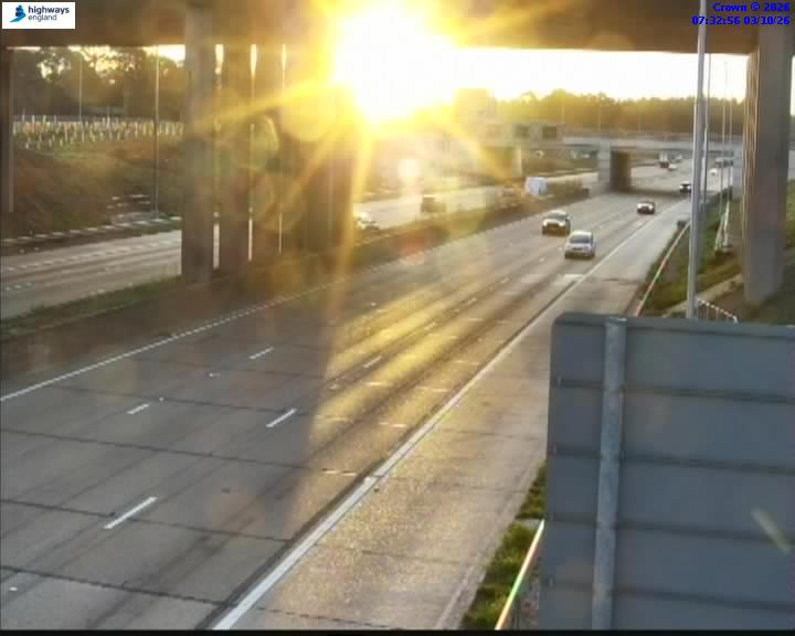 7:33 AM