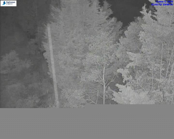 15085-1787108577.jpg