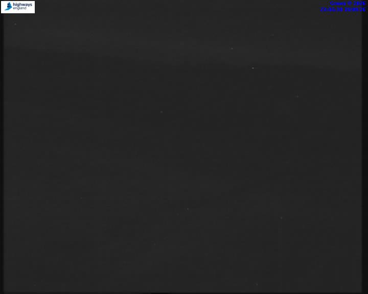 14595-1787090484.jpg