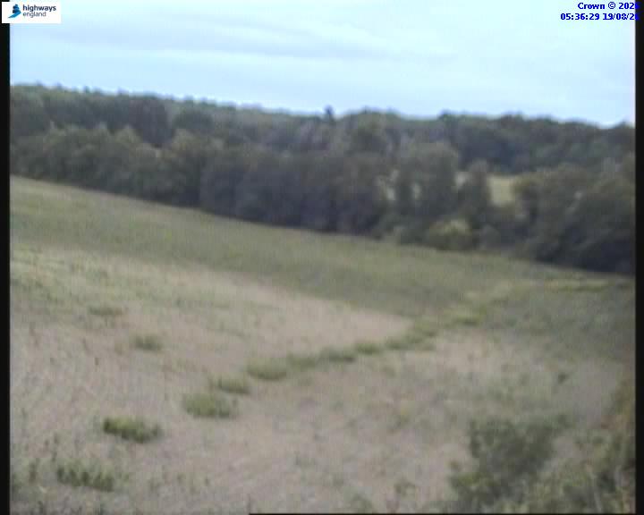 14595-1787117816.jpg