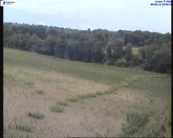 14595-1787126750.jpg