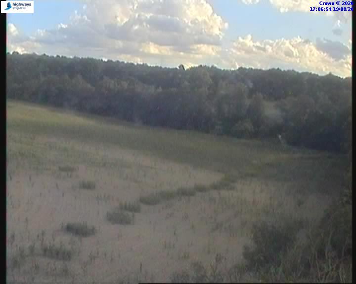 14595-1787159221.jpg