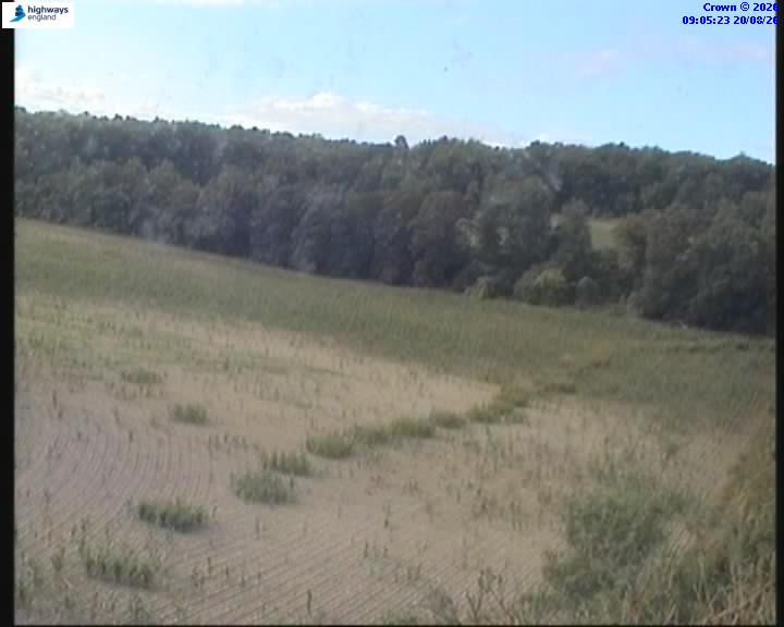14595-1787216737.jpg