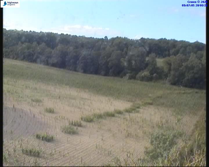 14595-1787216849.jpg