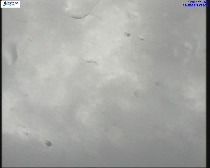 14579-1787130347.jpg
