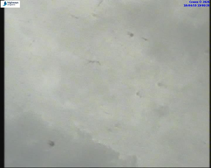 14579-1787133908.jpg