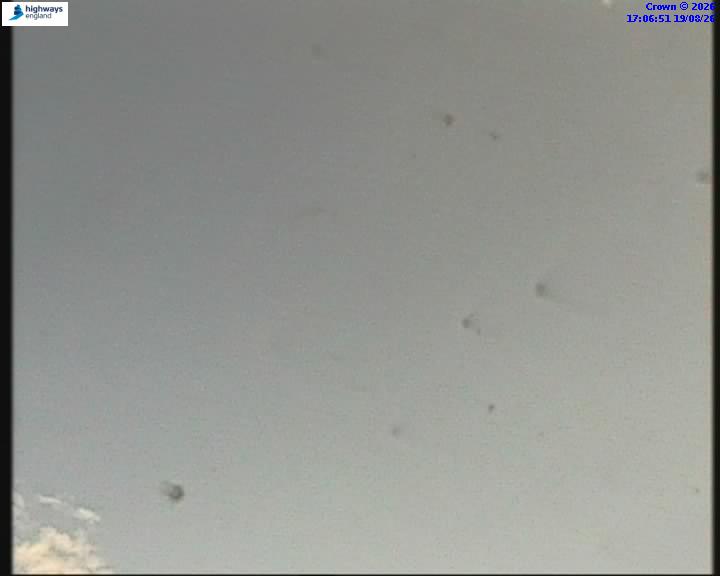 14579-1787159221.jpg