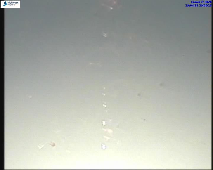 14579-1787166304.jpg