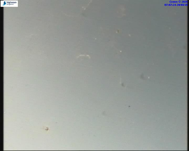 14579-1787209663.jpg