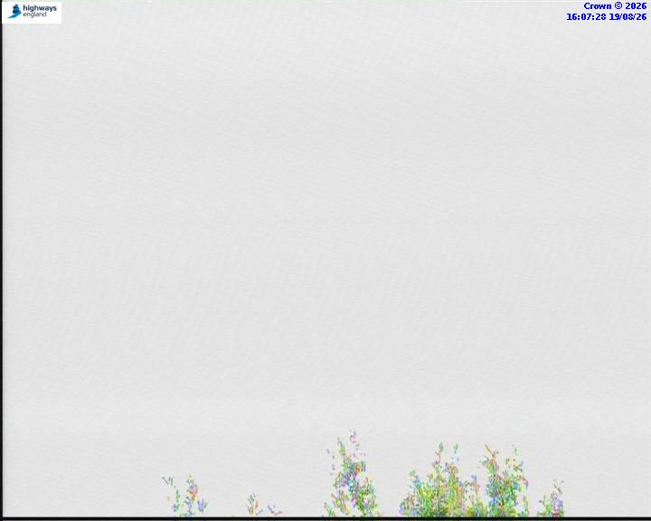 13413-1787155663.jpg
