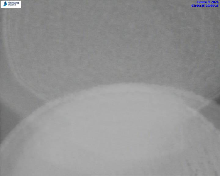 13398-1787195217.jpg