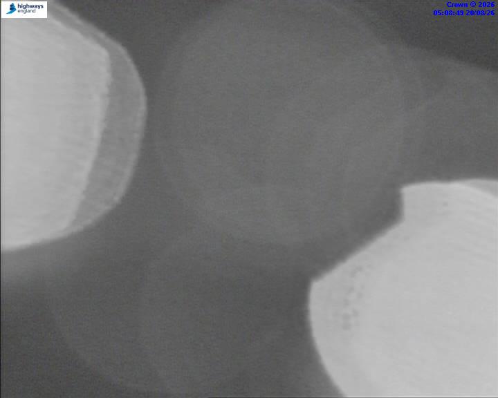 13353-1787202542.jpg