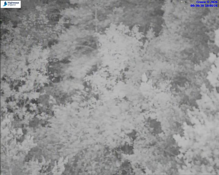 13314-1787099448.jpg