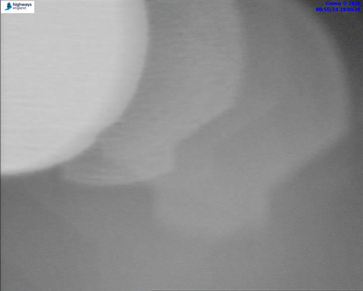 14454-1787100938.jpg