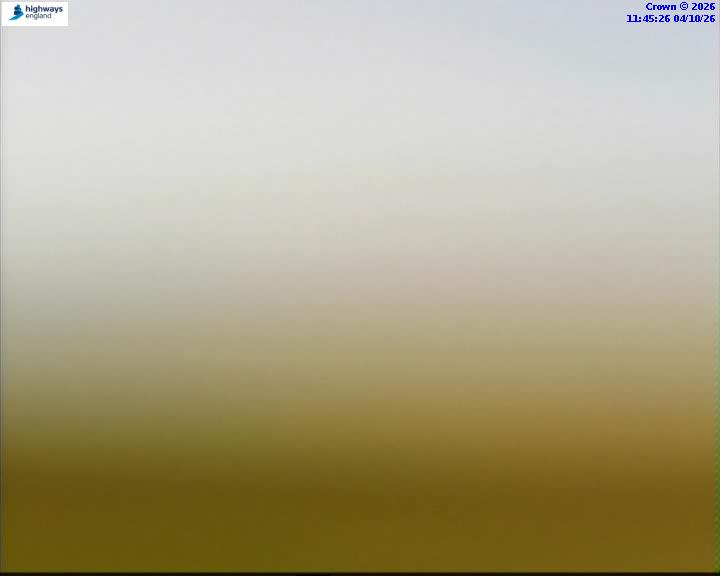 43311-1791114363.jpg