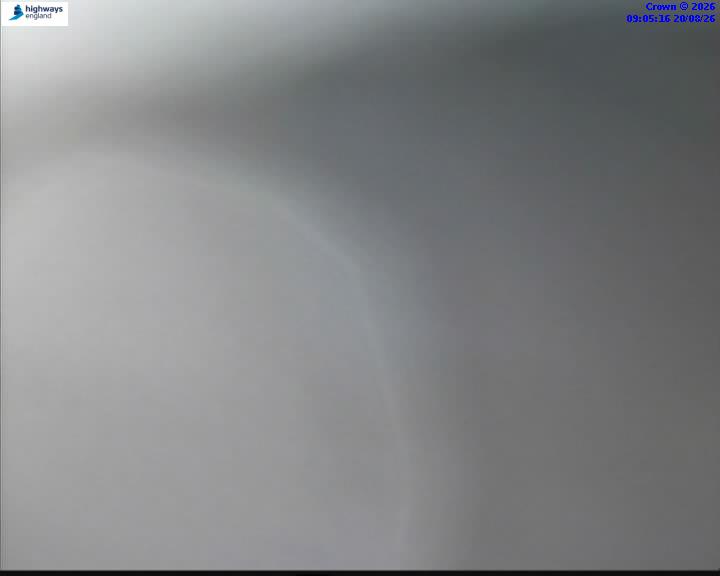 43252-1787216724.jpg