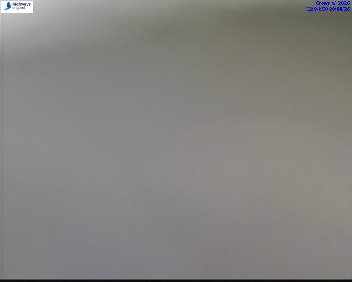 43252-1787227520.jpg