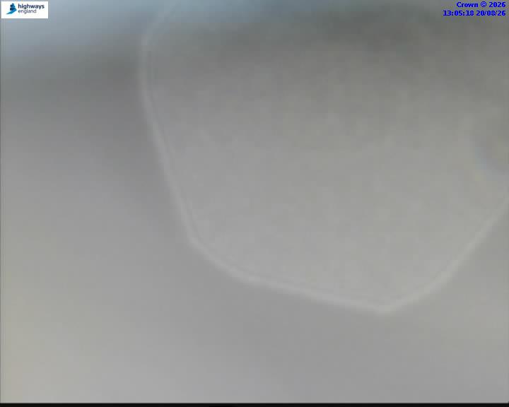 43252-1787231122.jpg
