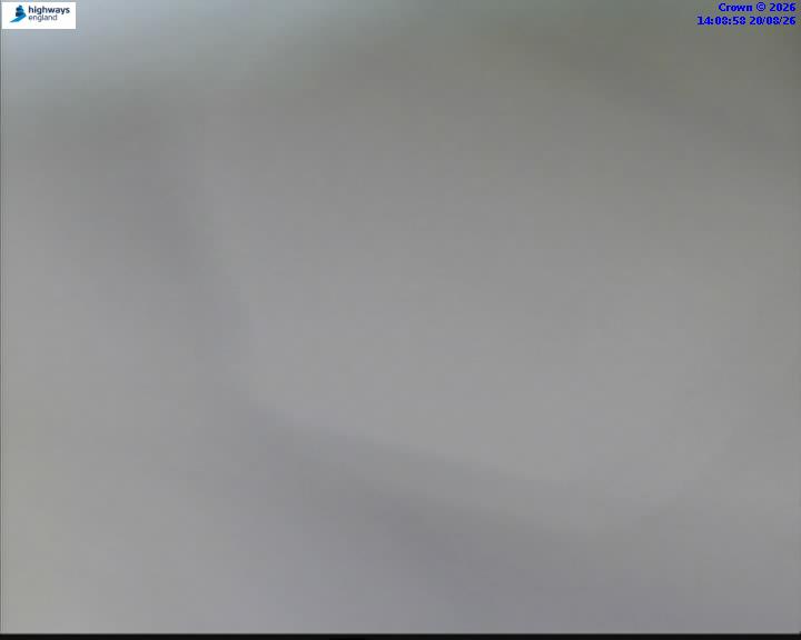 43252-1787234949.jpg