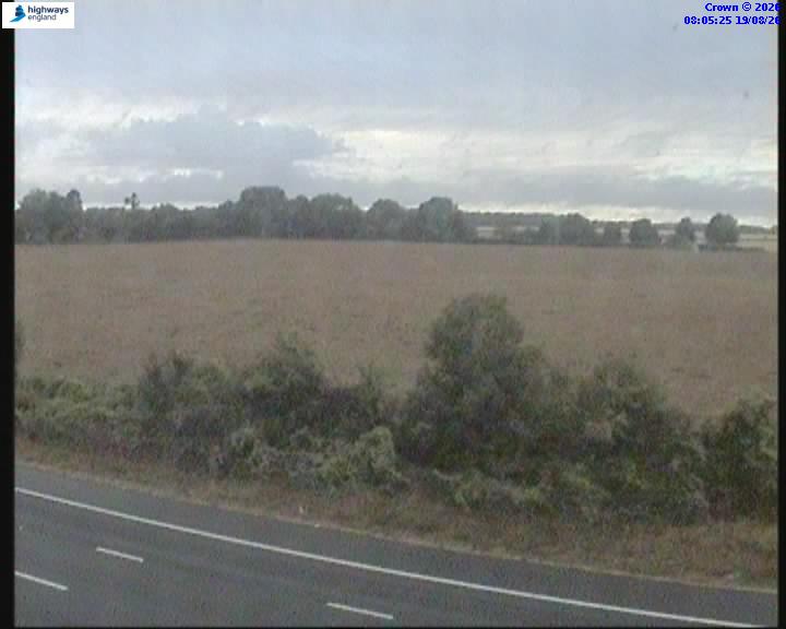 53024-1787126733.jpg