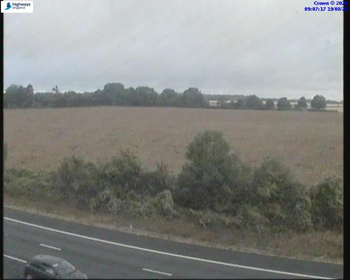 53024-1787130446.jpg
