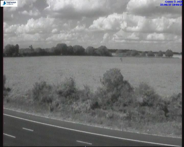 53024-1787152006.jpg