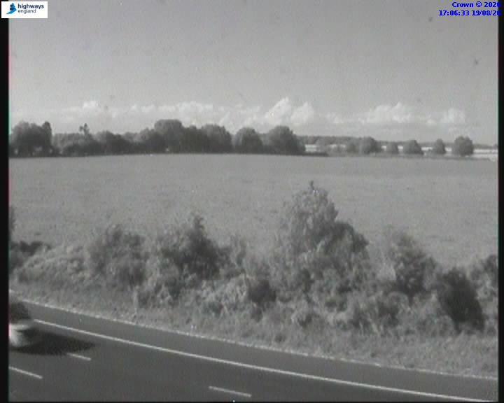 53024-1787159216.jpg