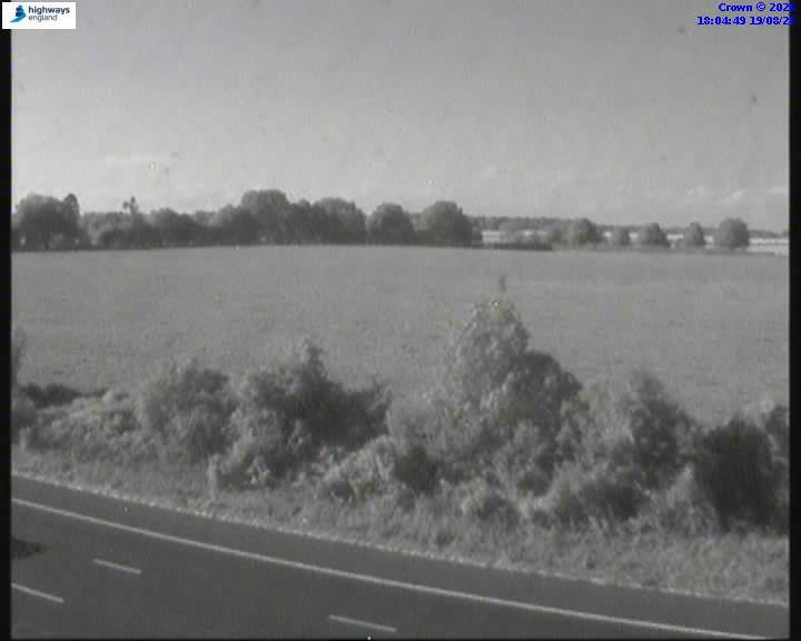 53024-1787162694.jpg