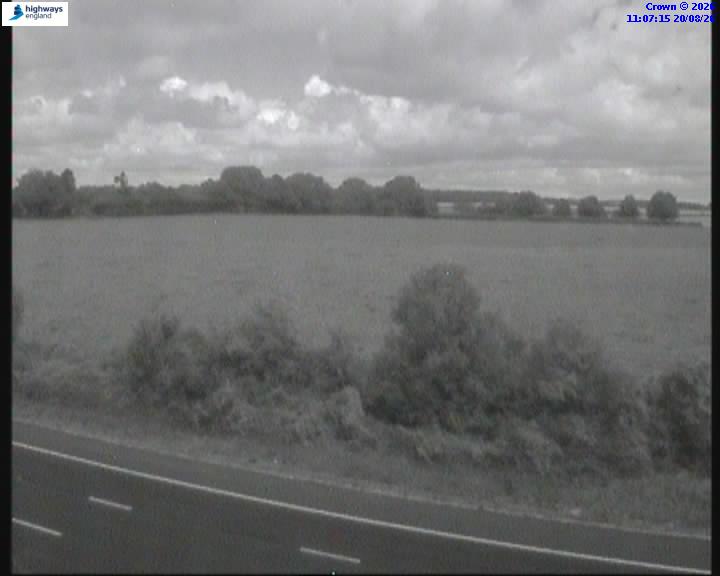 53024-1787224042.jpg