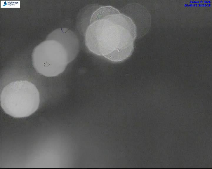 58973-1787029757.jpg