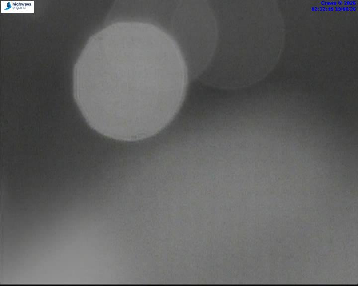 58973-1787106786.jpg