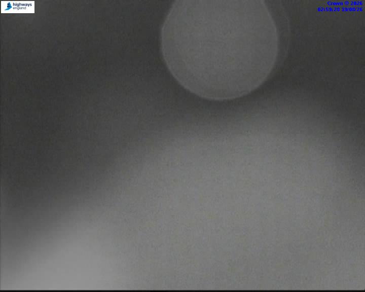 58973-1787108385.jpg