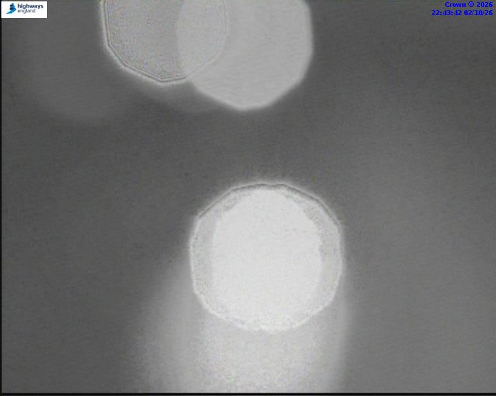 07298-1790981034.jpg