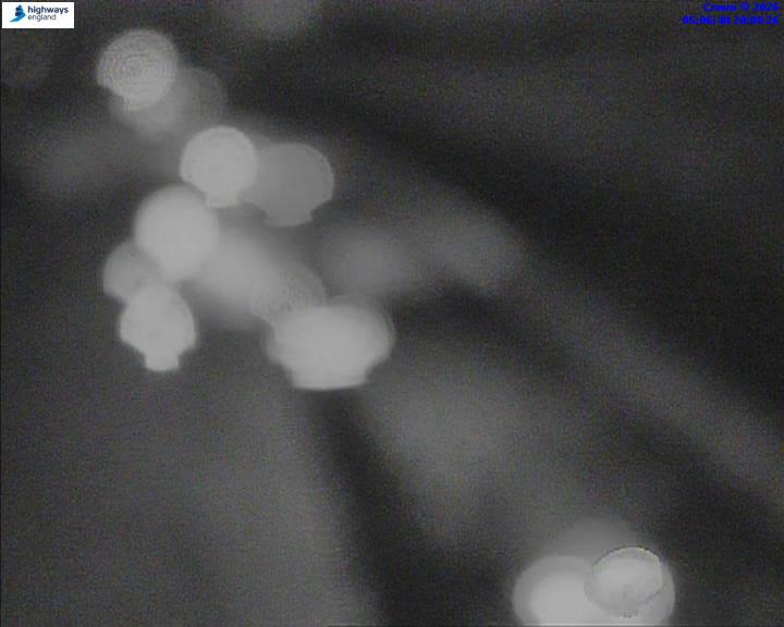 07281-1787202409.jpg