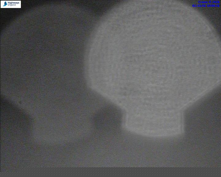 07264-1787106755.jpg