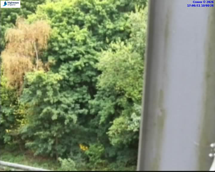 Click for full screen live camera. A2 18425 A227-M2/A289