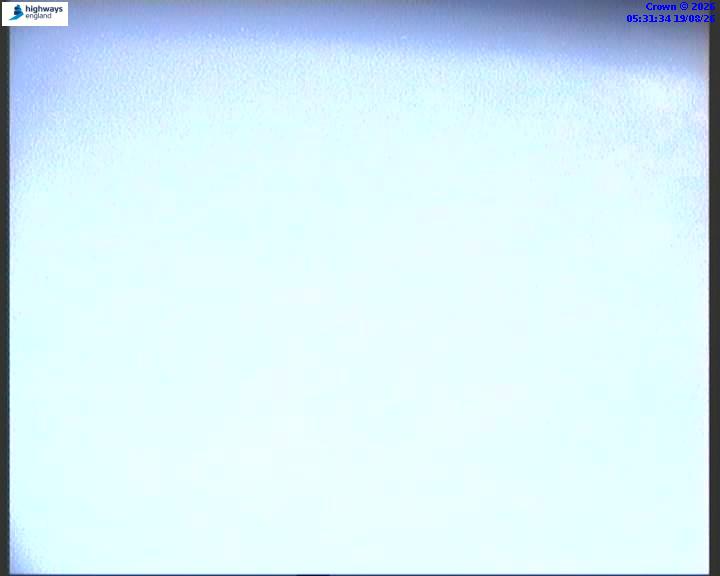 09696-1787117515.jpg