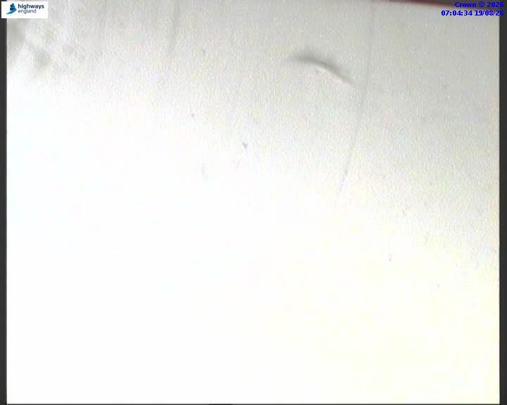 09696-1787123077.jpg