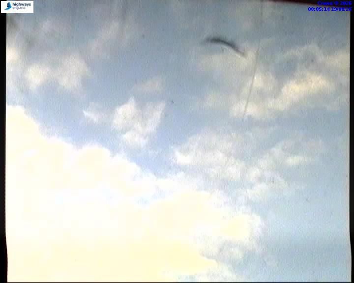 09696-1787126723.jpg