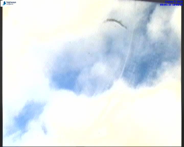 09696-1787130322.jpg