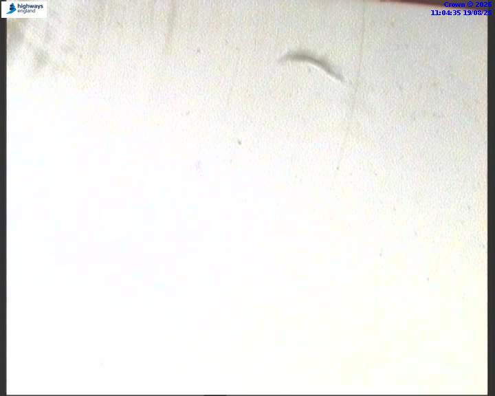 09696-1787137486.jpg