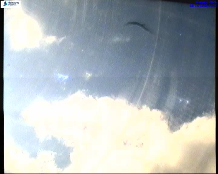 09696-1787155501.jpg
