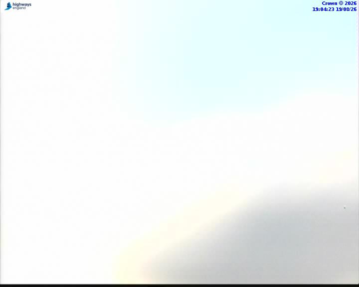 59073-1787166276.jpg