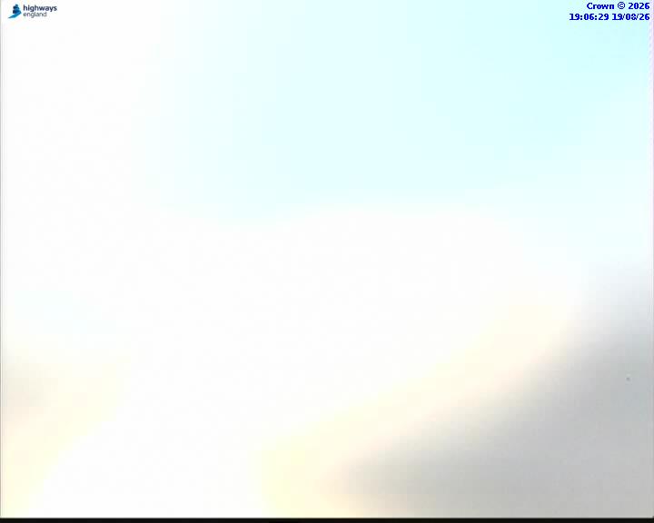 59073-1787166399.jpg