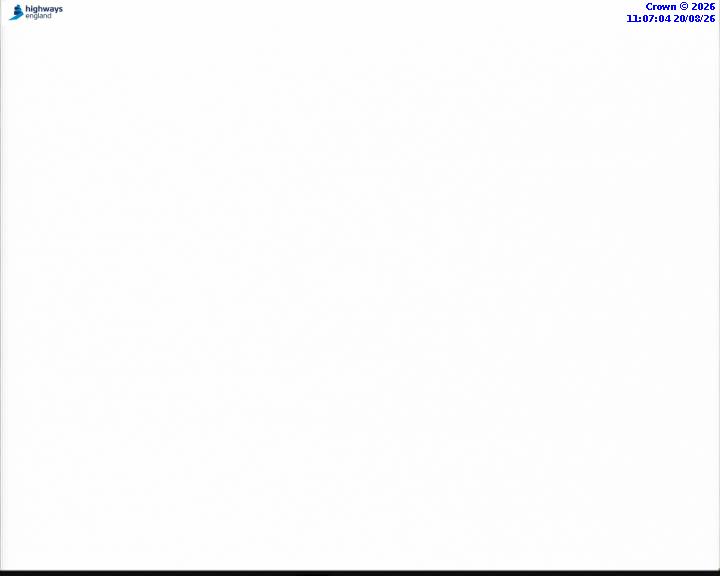 59073-1787224040.jpg