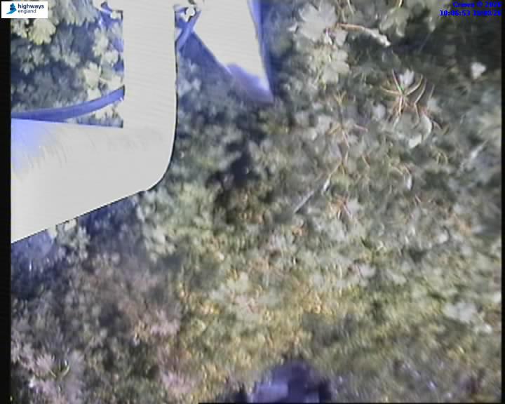 Click for full screen live camera. M27 19148 J3-J4