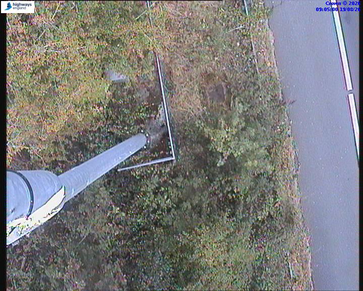 65109-1787130311.jpg