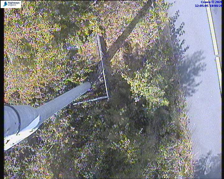 65109-1787141124.jpg