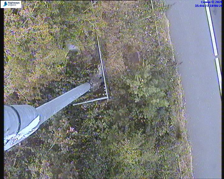 65109-1787151873.jpg