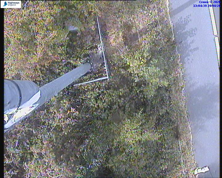65109-1787231103.jpg